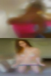 Chat room with horny wives